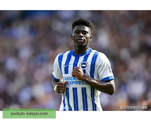 英超范德芬表现稳健，球队竞争力增强迎接接下来的赛季挑战